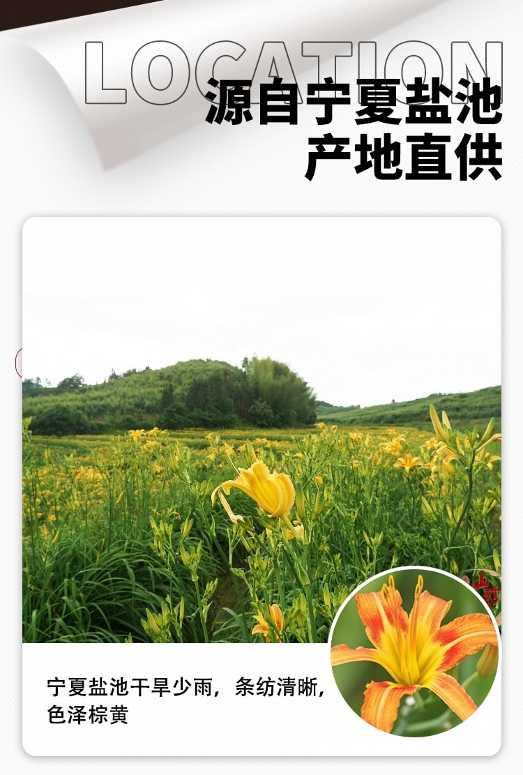 【中国直邮】 元气绿洲 黄花菜 50克