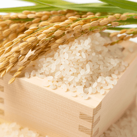 日本KOSHIHIKARI 高级短谷米 大米 2kg 【煮饭熬粥】