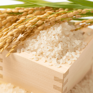 Premium Short Grain Rice, 4.4lb