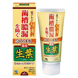 [Japan Direct Mail] KOBAYASHI Leafy Natural Plant Toothpaste Effectively Prevent Periodontitis Freshen Breath Yellow P