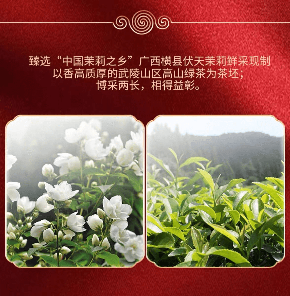 COFCO Zhongcha  Jasmine Tea, Strong Aroma, Grade 1, 100g*1 Bag