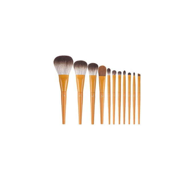 Ginger Brush Set - 11pcs