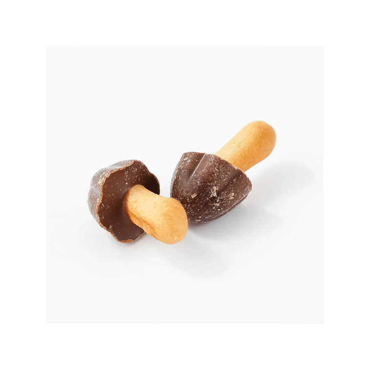 日本MEIJI明治 談話古力巧克力餅乾 74g【TWICE AESPA同款】 10