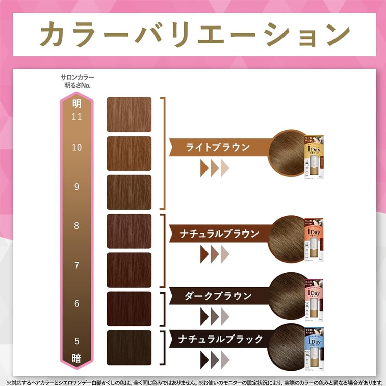 【Expédition directe du Japon】 HOYU Japon Crayon retouche racines cheveux blancs 9ml Noir naturel 4