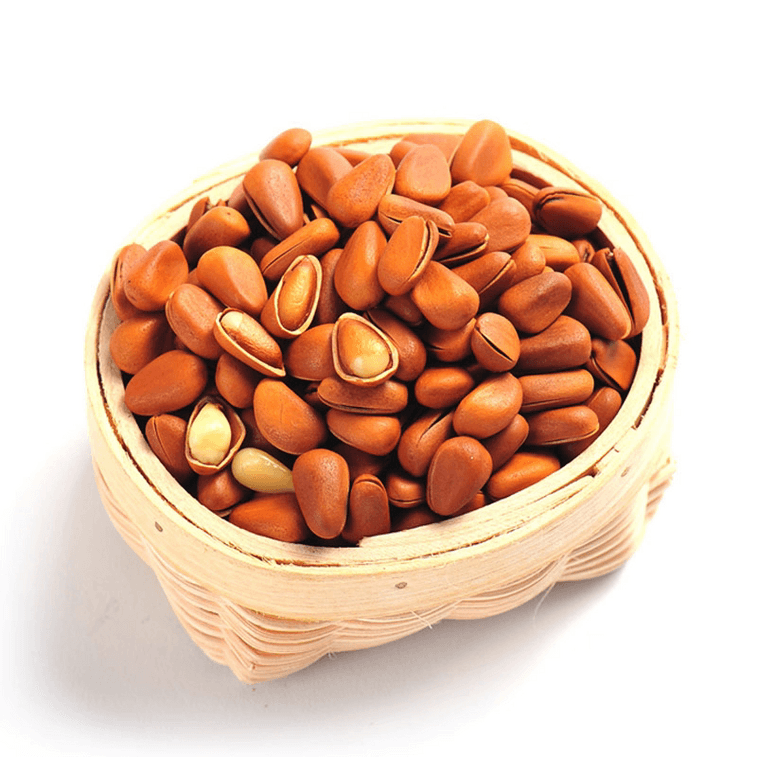 코알라 & 스쿼럴 2025년산 헤이룽장성 껍질째 수확한 굵은 입자 잣 220g*1캔 5