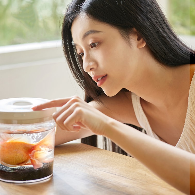New Small Wireless Oxygenating Goldfish Tank for Desktop, Office, and Outdoor Use 4