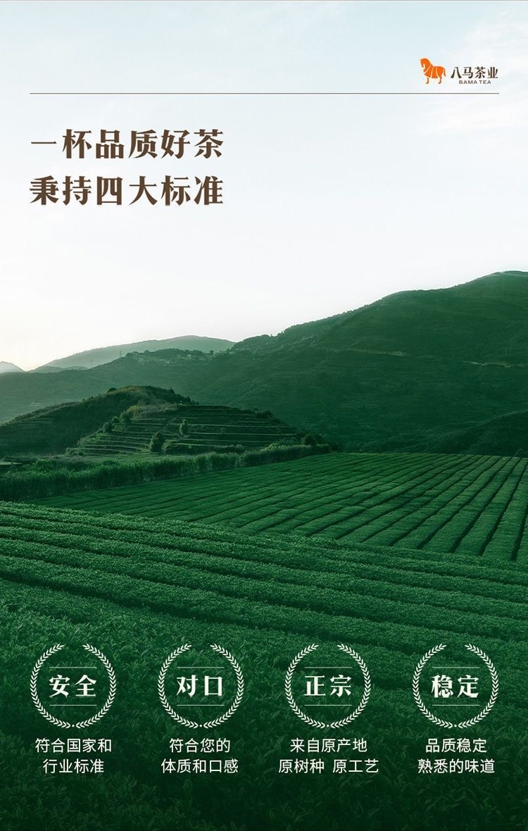 【中国直邮】 八马 茉莉花茶60g