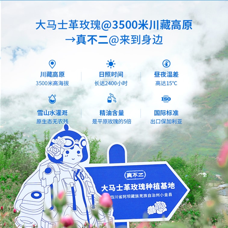 【中國直郵】 真不二 大馬士革玫瑰熱灸足貼 艾草暖腳貼暖足貼 5對/盒 4