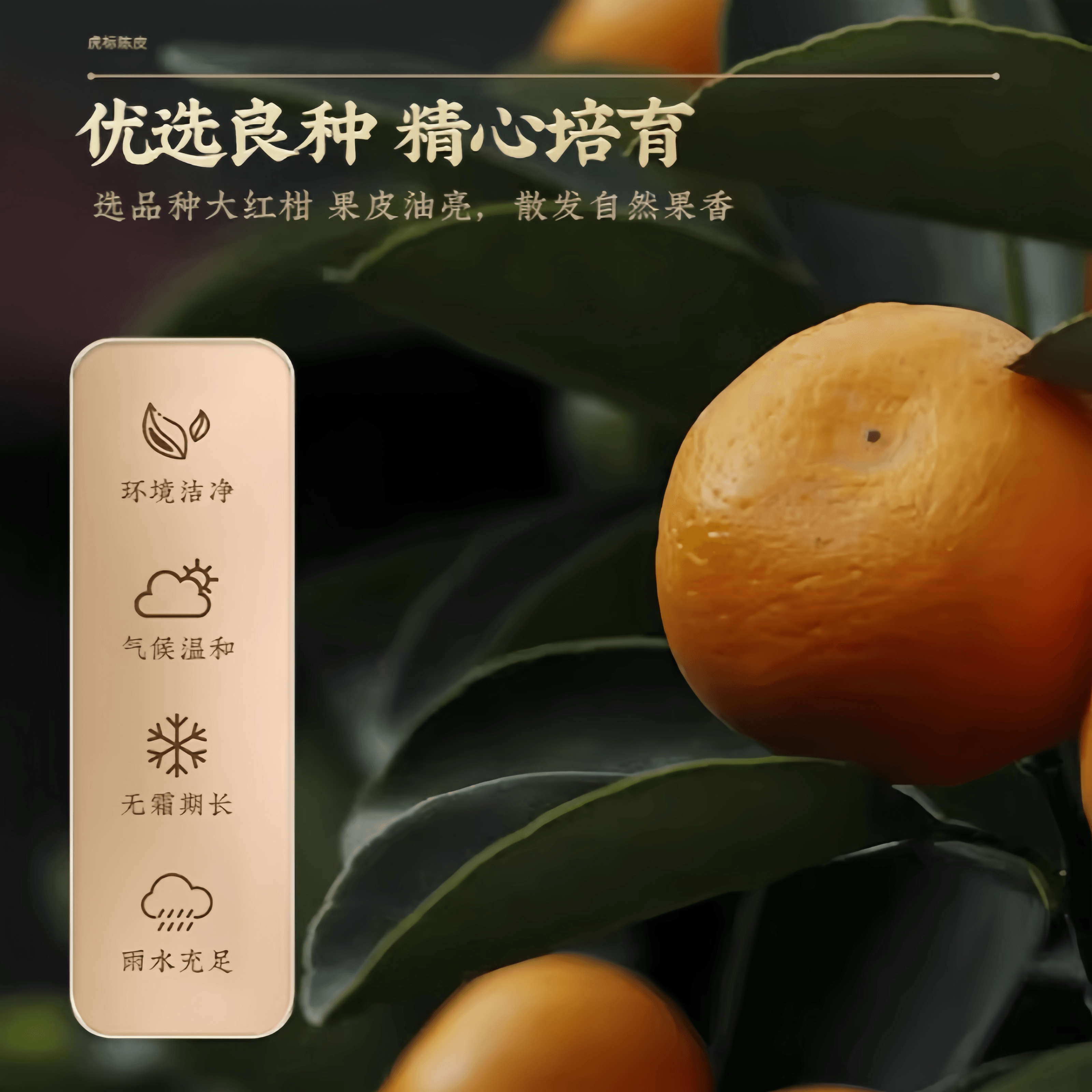 【中国直邮】 虎标 陈皮丝泡水橘皮干桔皮干130g*1瓶