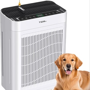 TER 空氣清淨機帶可清洗過濾器(白色)1台