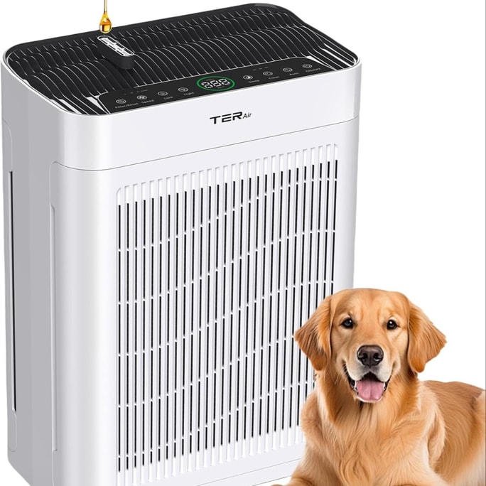 TER 空氣清淨機帶可清洗過濾器(白色)1台