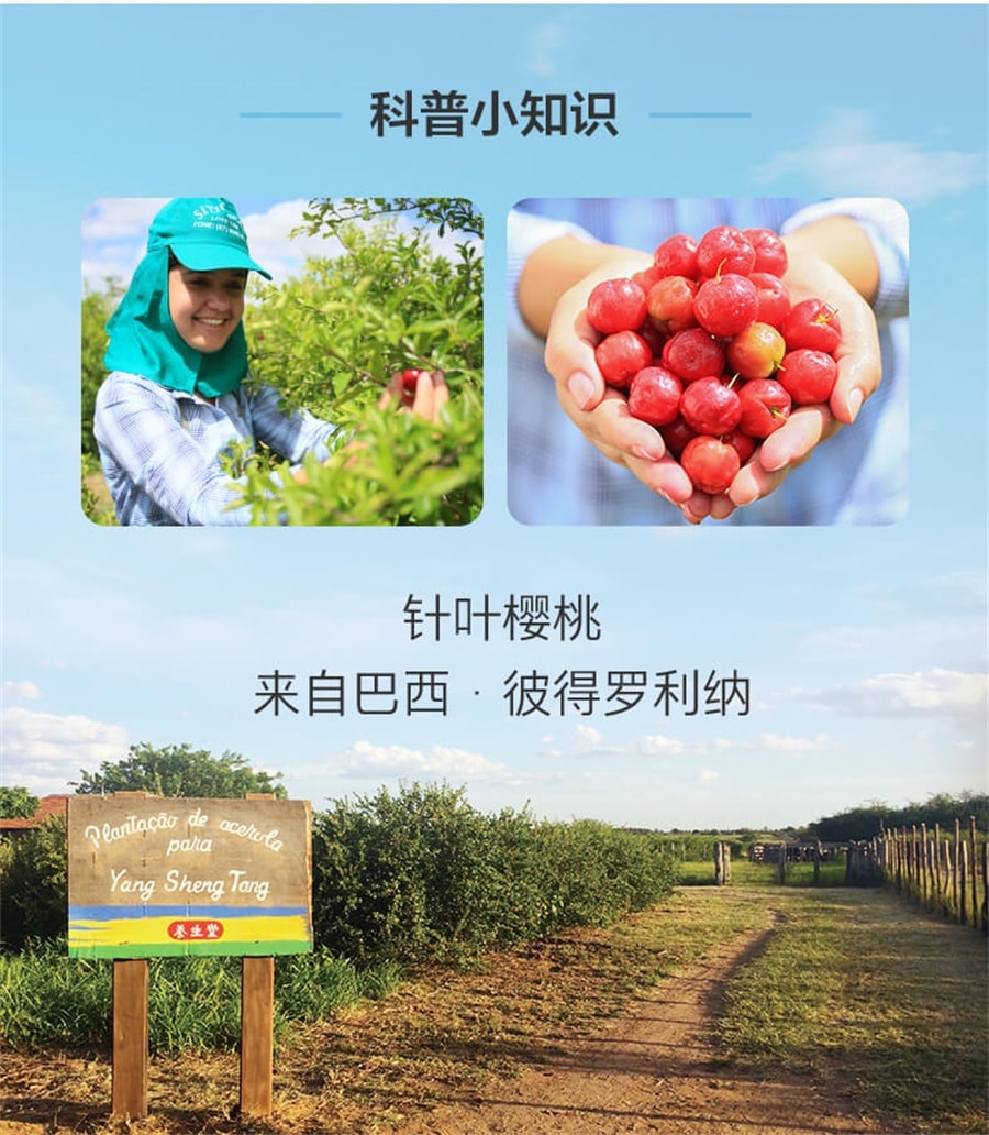 【中国直邮】 养生堂 天然维生素c咀嚼片针叶樱桃增强免疫力vc含片130粒