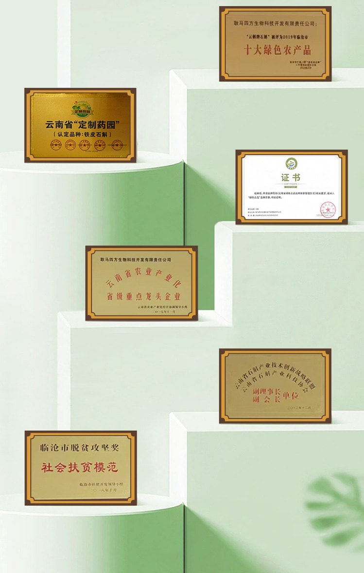 小师姐评茶【美国现货秒发】有机铁皮石斛切片 滋阴润燥 增强体力 可泡茶炖汤 使用便捷 快速溶出营养成分 无需煎煮 日常养生滋补佳品 20克 (2克x10袋)