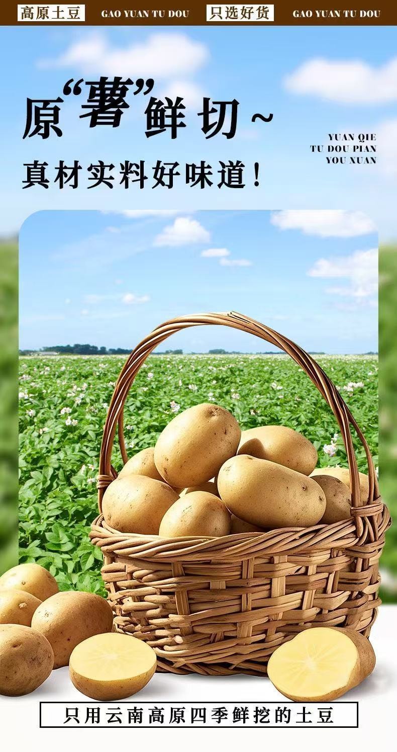 山野掌柜   正宗云南陆良特产麻辣土豆片,酥脆可口 现炸口感 - 精选高原土豆,麻辣料足超入味,好吃到舔手指,根本停不下来!追剧解馋必备零食    零食,小吃,干货(50g)