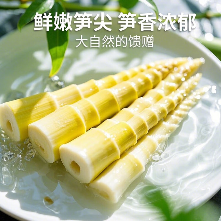 古松古松【精選鮮筍根根脆嫩】火鍋筍尖248g 新鮮竹筍高山野筍清水筍尖