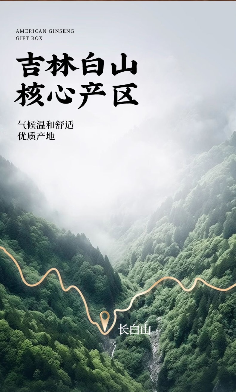 南京同仁堂 【豪華送禮禮品補氣滋陰抗疲勞提高免疫力】東北特產長白山西洋參100g超大片禮盒 精選仿野生人參厚切片花旗參 參味濃郁、補氣養陰、清熱生津【端午中秋過年送禮禮品】