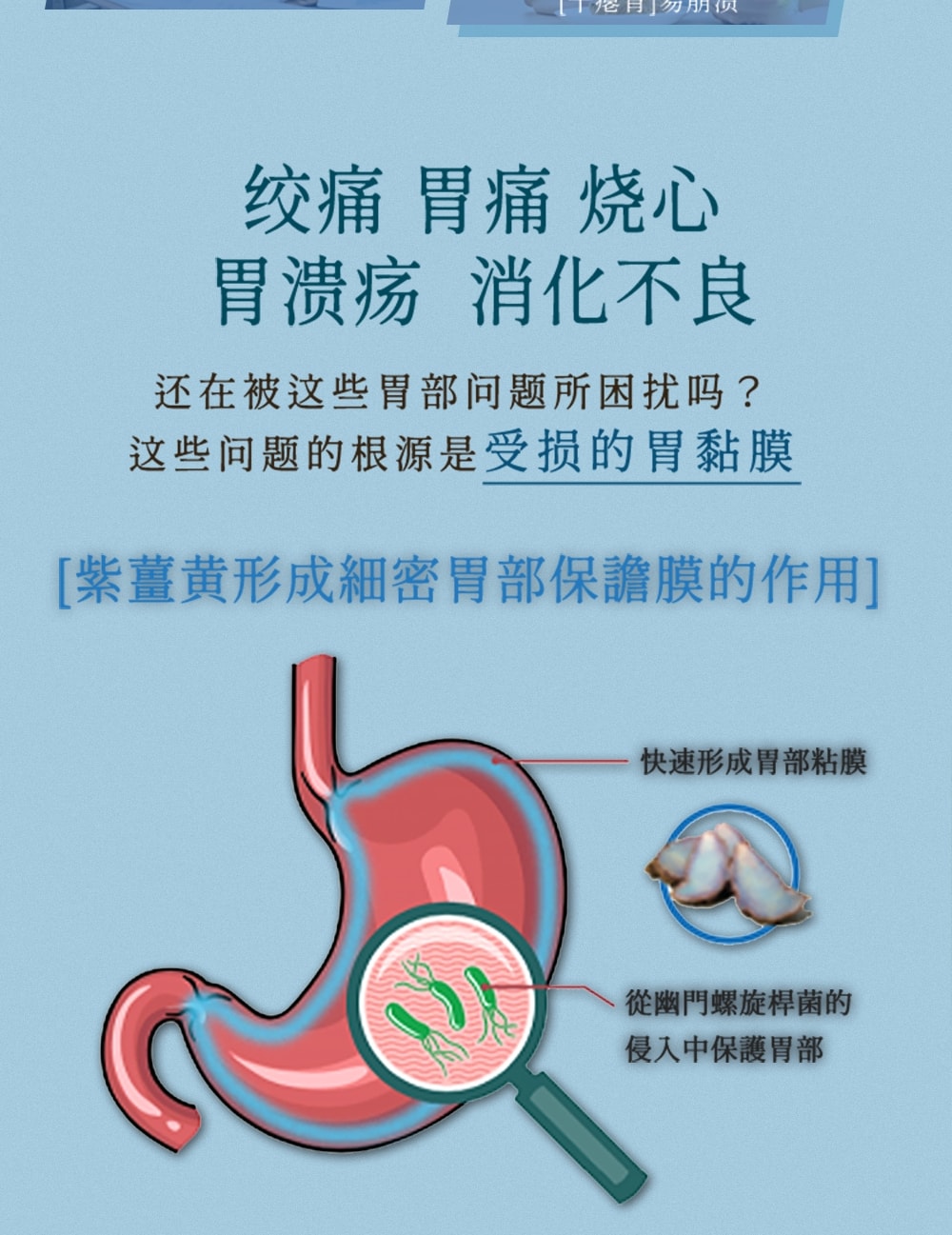 日本 UMEKEN 冲绳紫姜黄添加消化酵素 30包【外卖星人的养胃小救星🍱💊】【上班族的隐形护胃宝】【冲绳人长寿的秘密🌴拯救重口胃胀日常】【外食族必备】
