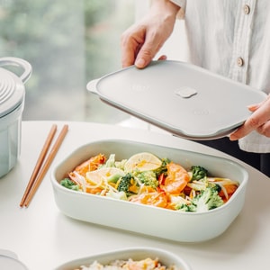 BUYDEEM北鼎 豬豬盒 多功能便當盒陶瓷便當盒 電蒸籠配件 24cm 淺衫綠 CT3008