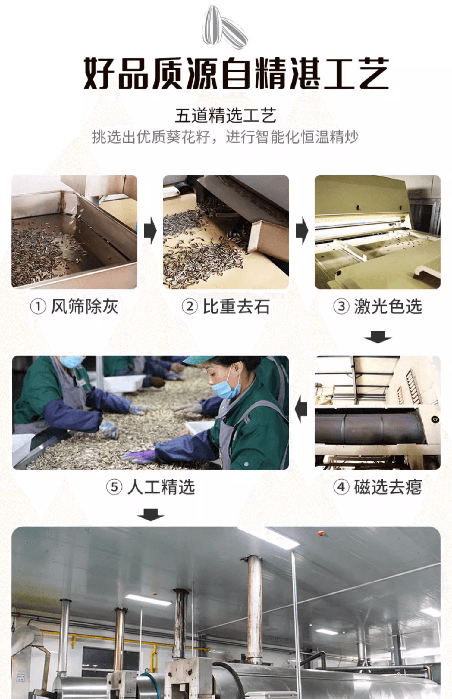 Five-flavor sunflower seed combo: Original, Mixed, Caramel, Five-Spice, and Sea Salt, one pack each, 5 packs totaling 638g