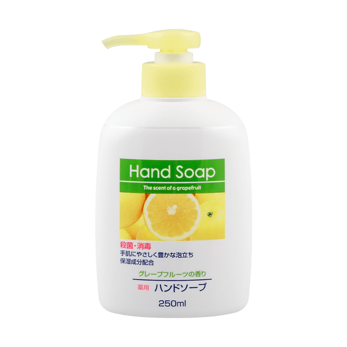 Japan DAIICHI pharmaceutical Hand Soap disinfection Grapefruit 250ml