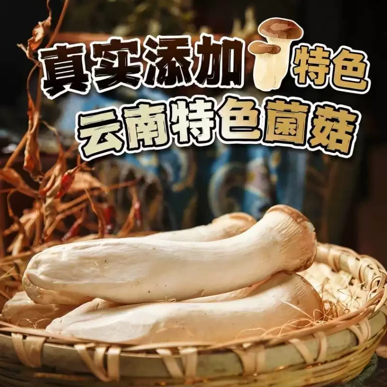 Yuanniang Yunnan Mushroom Chicken Soup Spicy Hot Pot Instant Food 272g * 1 bag 3