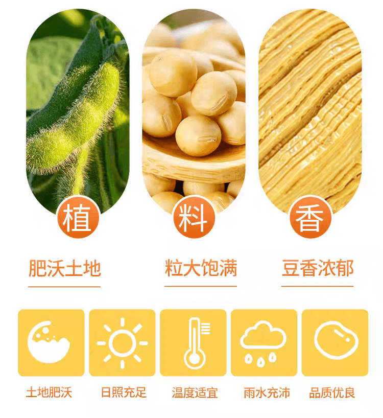 古松 豆制品豆腐丝干货火锅凉拌食材素食食材150g*1袋