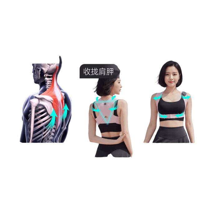 Posture Corrector EMS Microcurrent Invisible EMS Microcurrent Posture Corrector Belt 1Pc L
