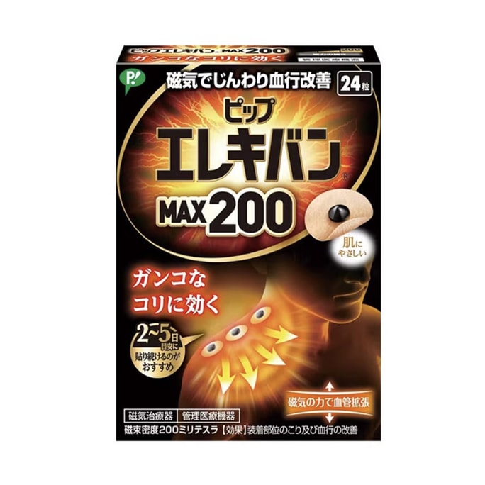 Electric van MAX200mT24 grains