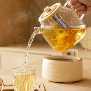 Corning Similar Model North American Voltage  Small Fresh Stew Full Glass Health Pot