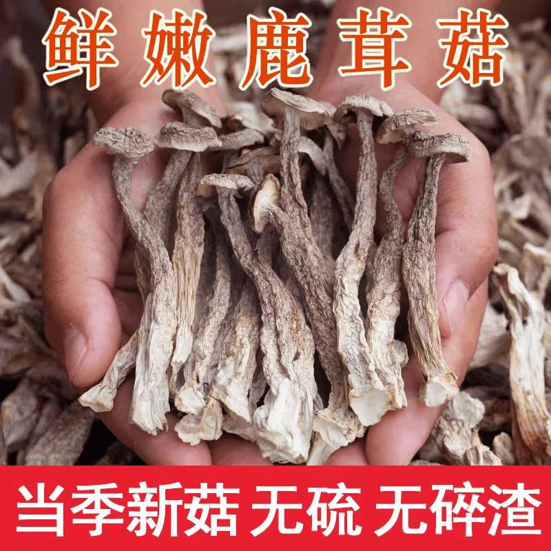 菌妍 新鮮鹿茸菇乾貨非特殊鹿茸菌煲湯食材50g*1包