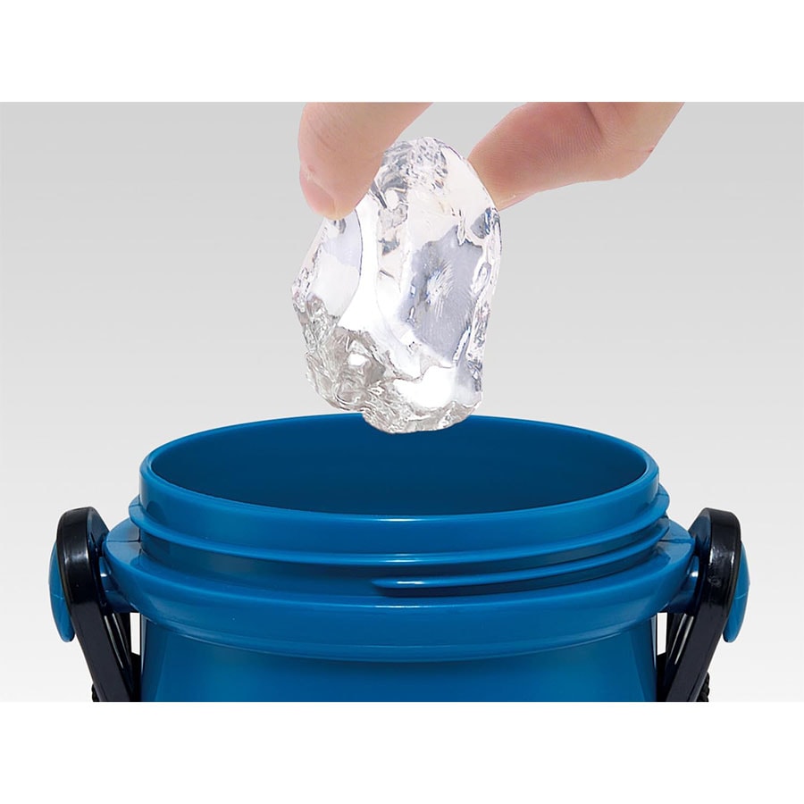 【日本直邮】 日本 SKATER 斯凯达 儿童男孩宝可梦直饮式水壶 轻量便携 抗菌设计 480ml 1 个