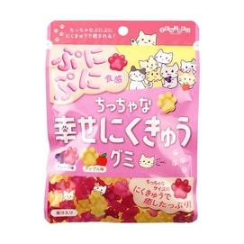 Senjaku Cat's Paw Fruit Flavoured Gummy Candy 2.47 oz