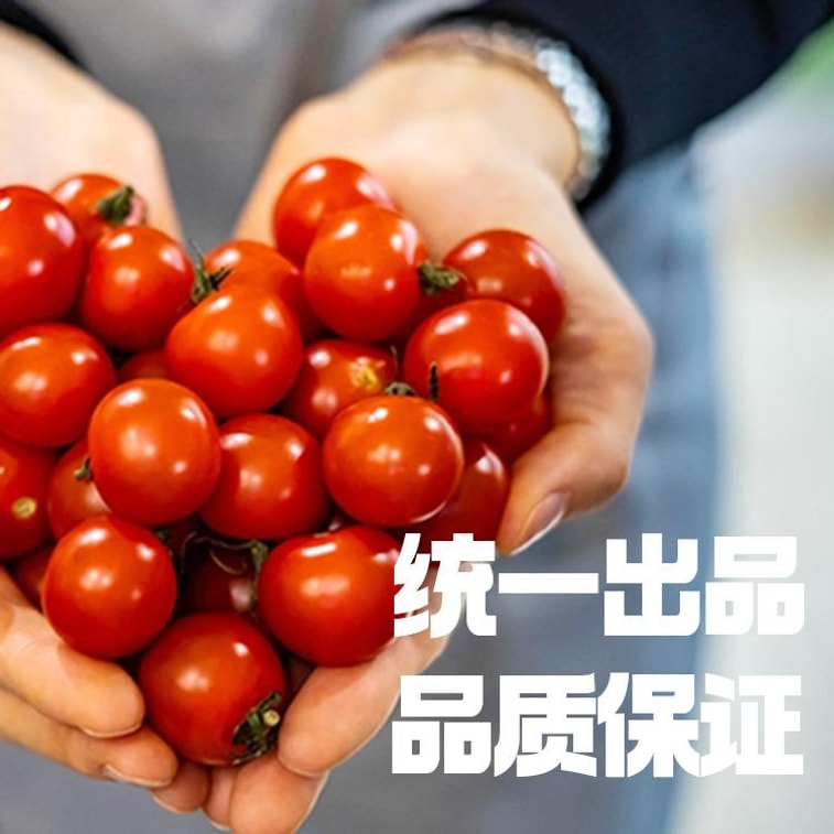 統一 水果蔬菜汁 愛尚番茄100%番茄汁 NFC非濃縮還原果汁飲料 200g 美容養顏抗氧 生津止渴補水分 潤腸通便 清熱解毒 老少皆宜 可做番茄鍋 9