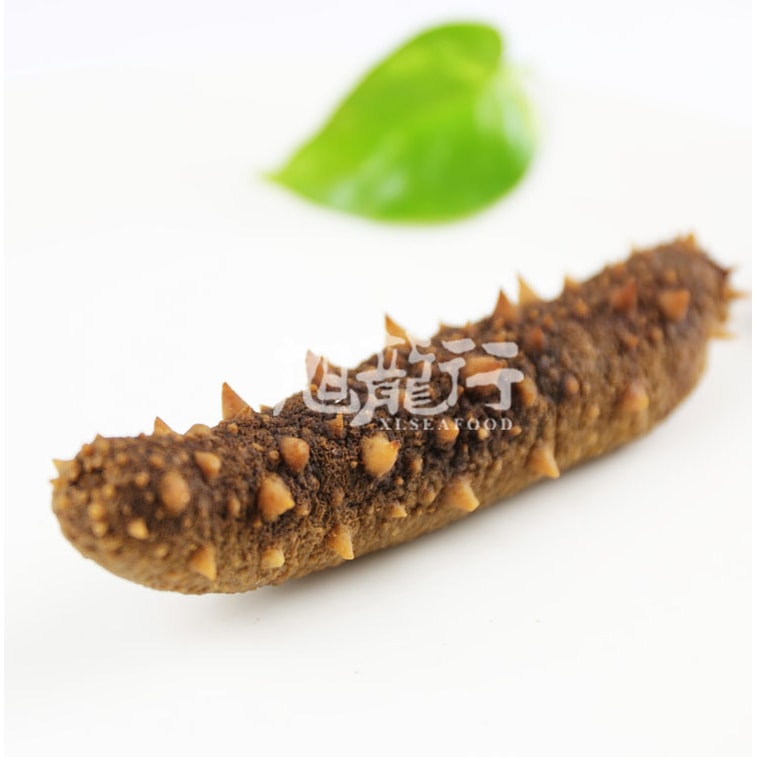 美國旭龍行 野生淡乾海參 阿拉斯加紅參 常規裝 特級8年參 中號0.5磅 227g 6