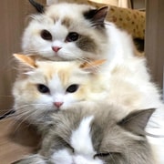 YamiUGC画像