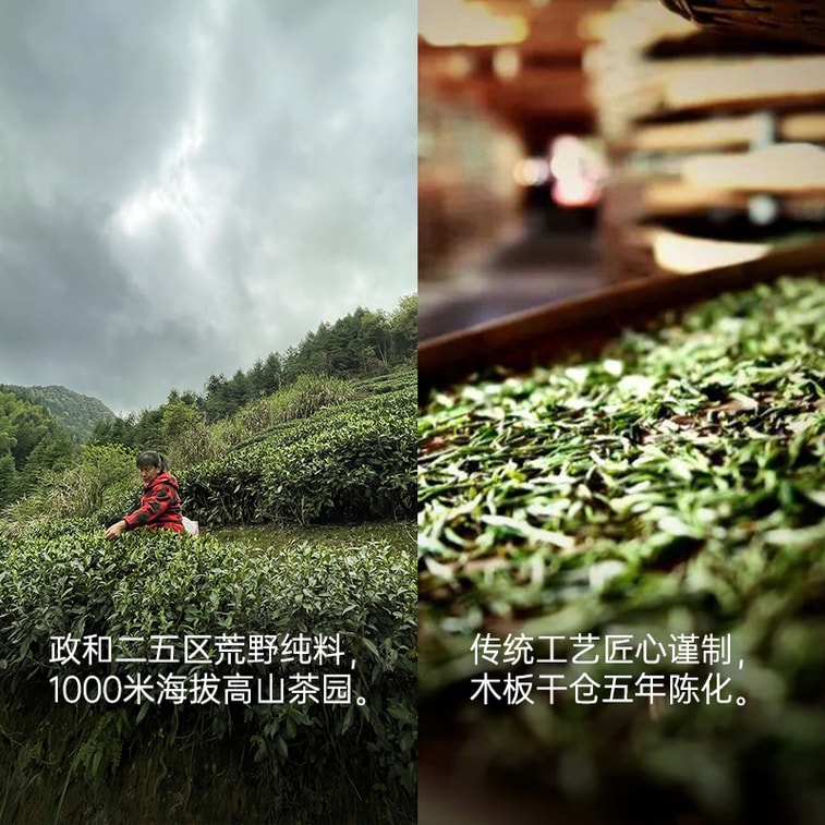 Fujian Zhenghe High Mountain Wild White Tea Chocolate-Shaped Pressed White Tea (Ye Yun Wild Charm) 30g 4