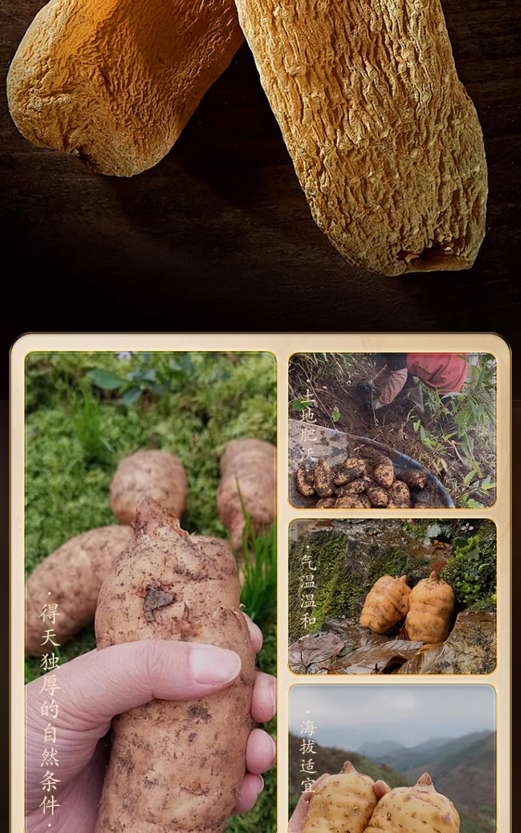 【中國直郵】 北京同仁堂 精選四川涼山老天麻片 50g