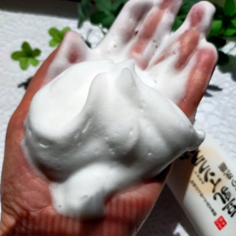 【日本直邮】 日本 SANA 莎娜 豆乳 美肌浓润 保湿洗面奶 150g 5