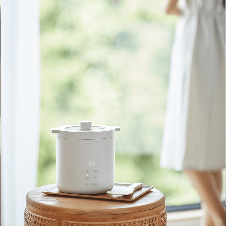 Mini Electric Rice Cooker with Steamer – 1.2L Capacity | 110–120V | Ideal for Dorm, Apartment & Single Living 7