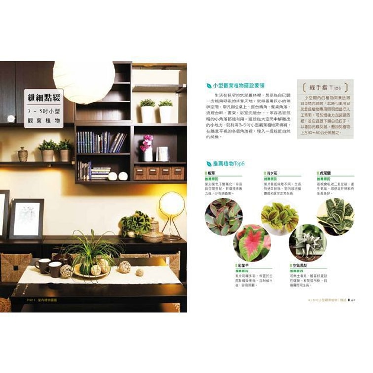 【繁體】綠色家屋:120種室內觀花、觀葉植物栽培與空間綠美化 9