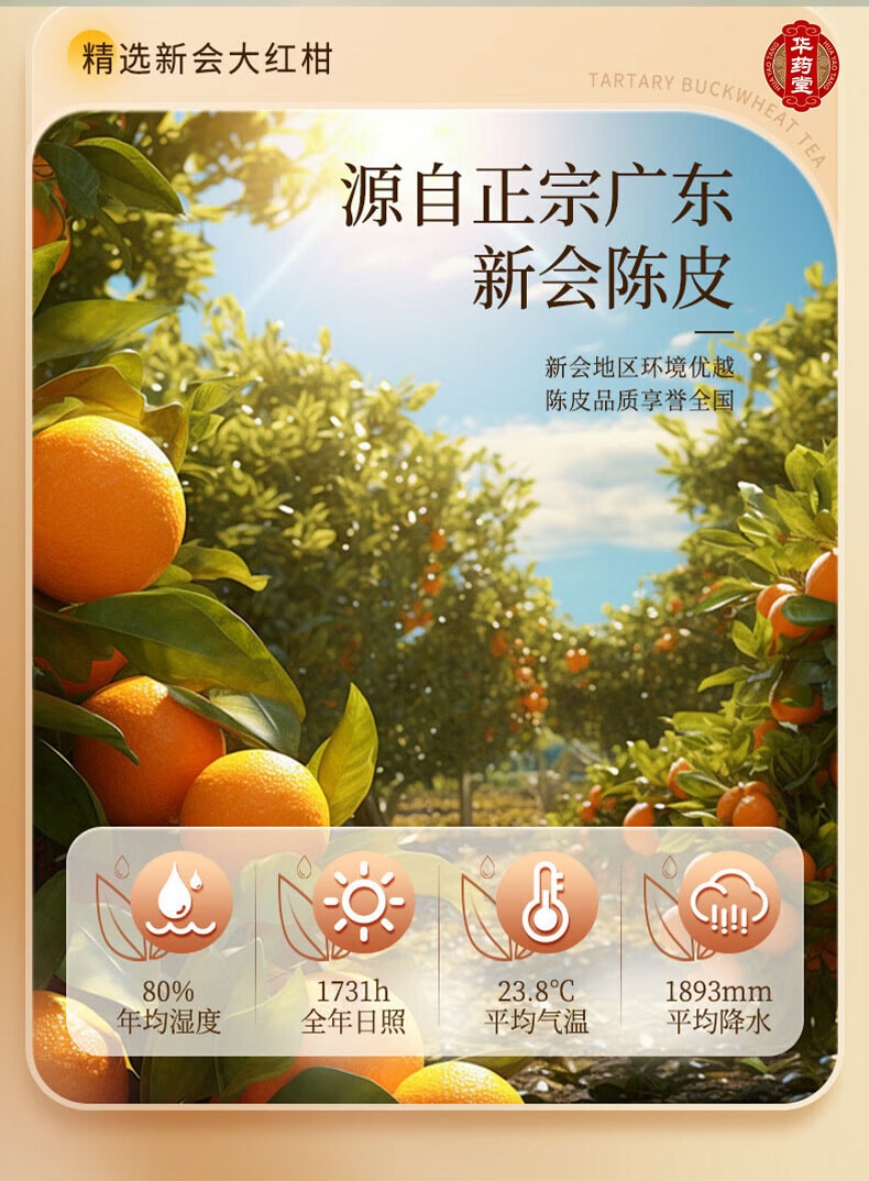 北京同仁堂 興安保健 新會 陳皮 52g 養生茶 泡茶煲湯 健脾開胃 止咳化痰