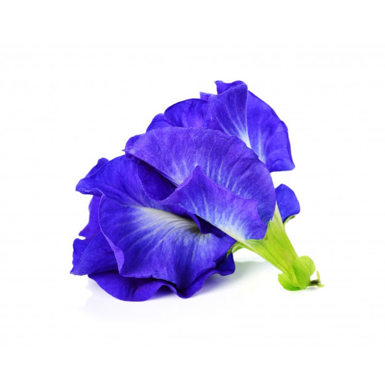 NESTLADY タイ有機バタフライピーの花青い蝶の香りのお茶弾性抗シワ美容茶 15 グラム 5