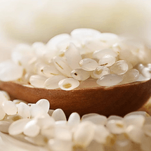 爷爷的农场 有机胚芽米 谷物米黄小米营养辅食粥 宝宝辅食 350g