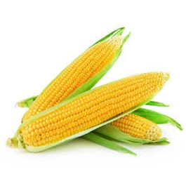 【特优】 甜玉米 一份3根