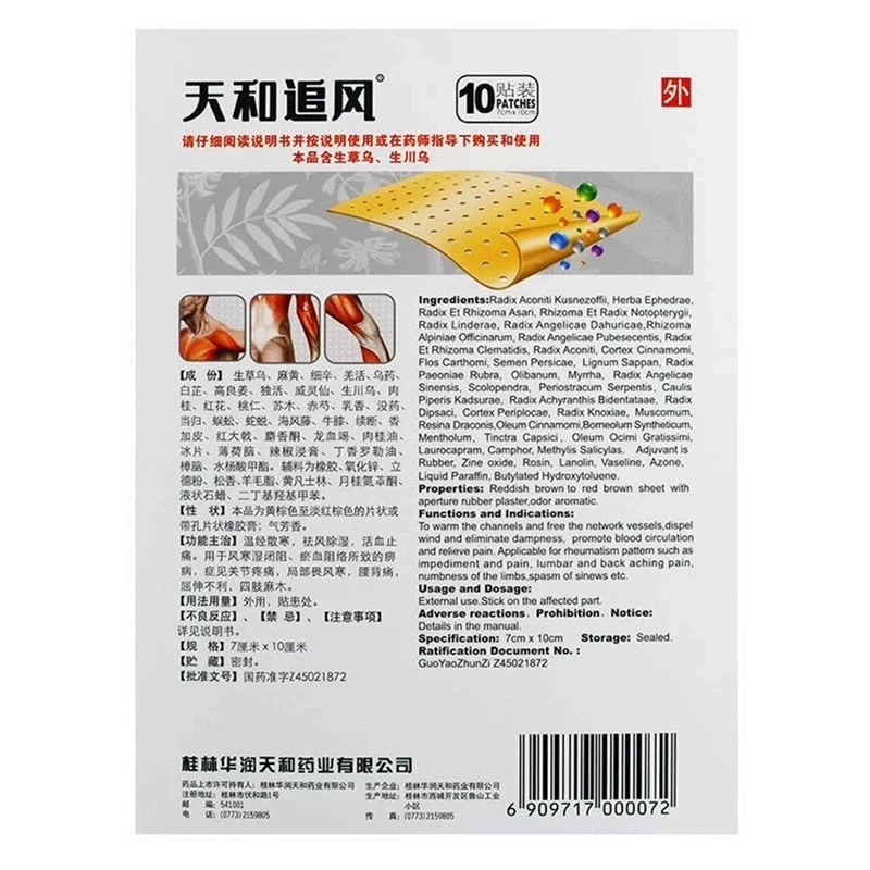 【中国直邮】 天和 追风膏 祛风湿活血止痛关节腰背疼痛 5贴*2袋