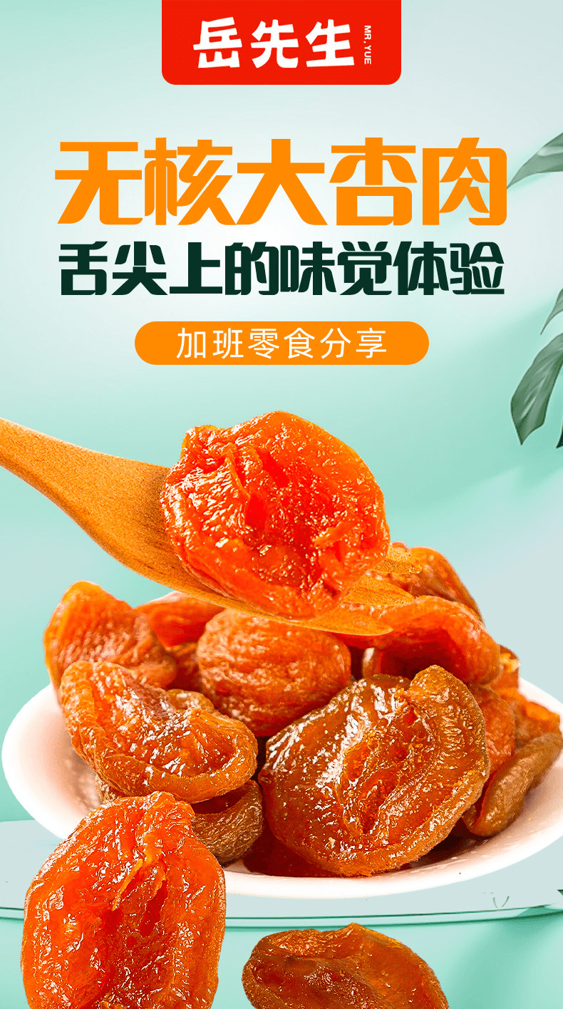 【中国直邮】 岳先生 无核大杏肉杏干个大独立小包装休闲零食果干果脯蜜饯88g+17.6g*1袋