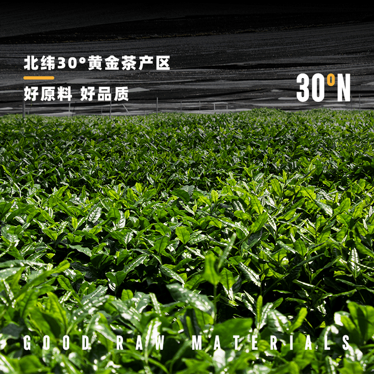 东方赤缇 五十铃日式纯抹茶粉30g | 茶道级鲜绿 微苦回甘 烘焙冲饮皆可 5