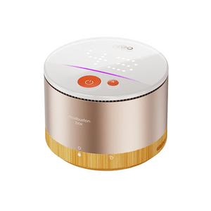 A2 pro Gold Smart Moxibustion Box Portable Smokeless Cervical Spine Massager Birthday Mother 'Day Gift Includes 30 Moxa Sticks & Acupoint Chart