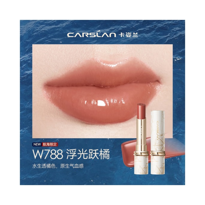 Matte Lipstick Brown Shade  W02 3.2g