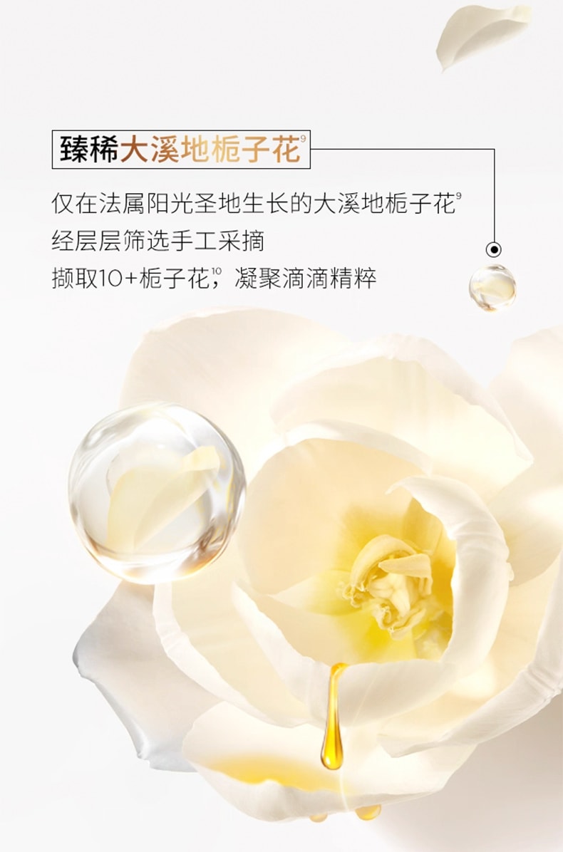 Paris Elvive Extraordinary Oil 100ml